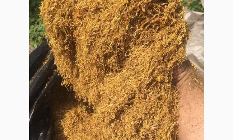 Пропоную тютюн  для сигарет 1 кг - фото № 9