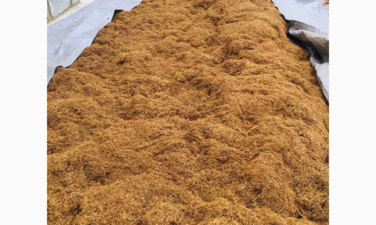 Пропоную тютюн  для сигарет 1 кг - фото № 6