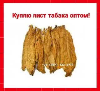 Куплю лист тютюну   для сигарет 1 кг, только ОПТ ! По всій Україні - фото № 1
