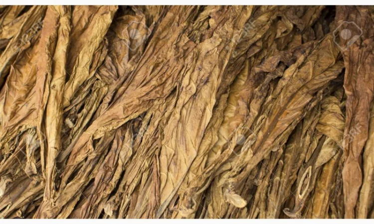 КУПЛЮ ТАБАК ОПТОМ! Вся Украина! Разных сортов. ЛИСТОМ,  для сигарет 1 кг - фото № 1