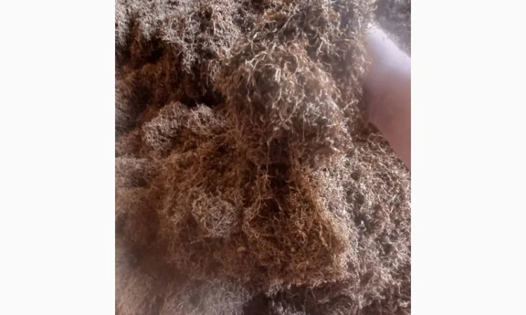 Продам різаний тютюн для сигарет 1 кг, оптом - фото № 2