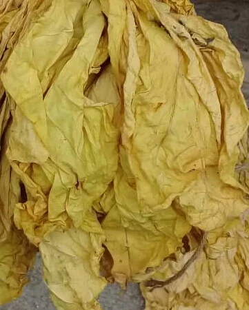 Продам Табак по лучшей цене для сигарет 1 кг ! Растаможен! Включая акцизы и сборы - фото № 4