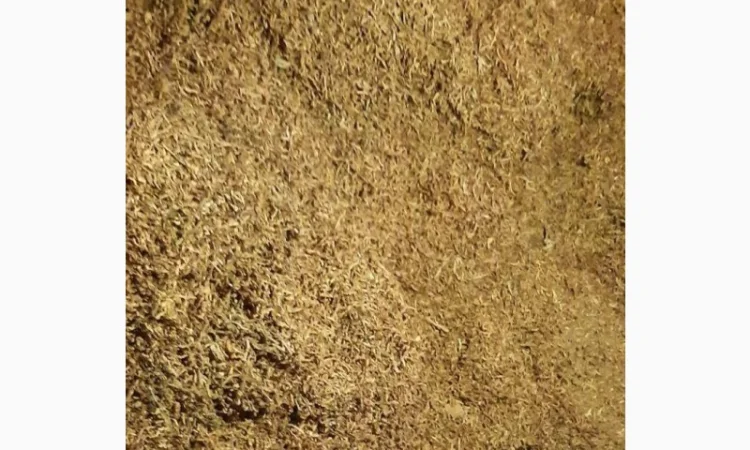 Продам тютюн вірджінію голд для самокруток , опт та роздріб - фото № 1