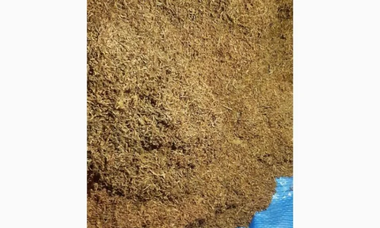 Продам тютюн вірджінію голд для самокруток , опт та роздріб - фото № 2