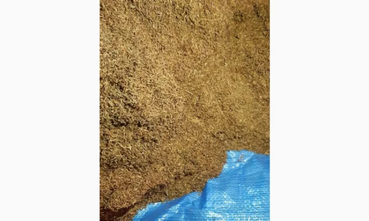 Продам тютюн вірджінію голд для самокруток , опт та роздріб - фото № 3