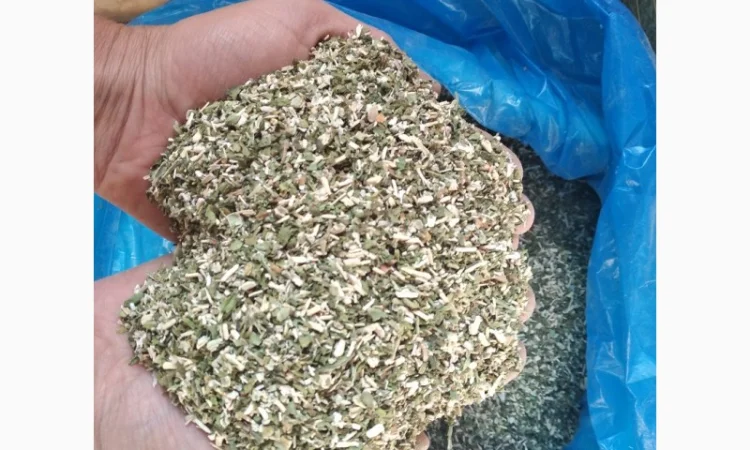 Продам махорку/табак 2025 - фото № 4