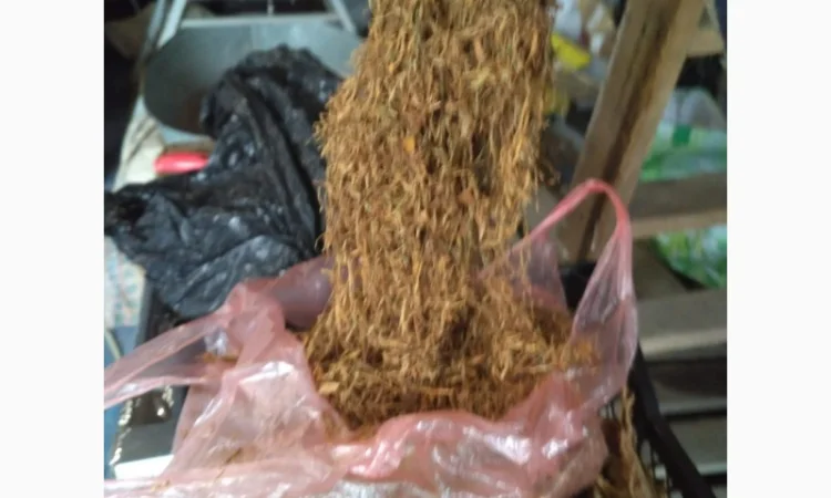 Продам різаний тютюн, сорт Вірджинія,  для самокруток - фото № 1