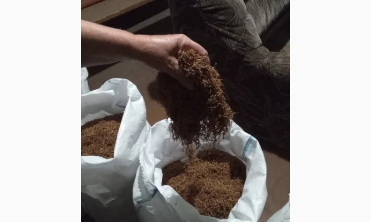 Продам тютюн,  для самокруток - фото № 1