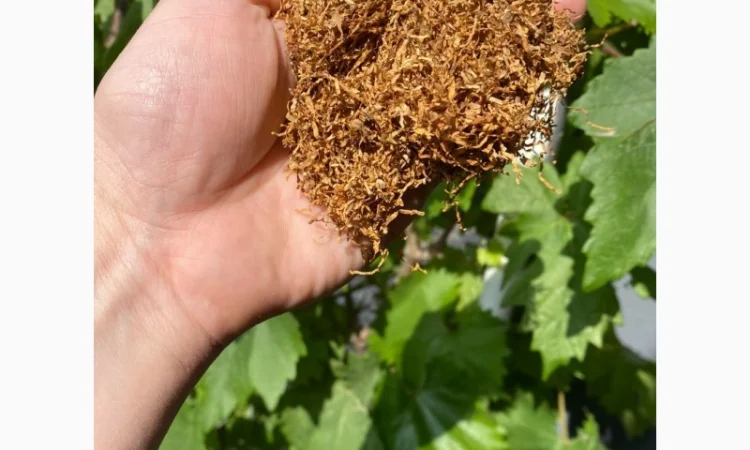 Імпортний Тютюн! Герцеговина, Теннессі, Ізмір, Дюбек, Басма, Вірджинія голд, Гавана, Ява, для сигарет 1 кг - фото № 2