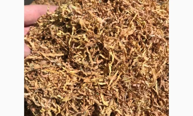 Тютюн Берлі. Оптом і роздрібно, для сигарет 1 кг - фото № 2