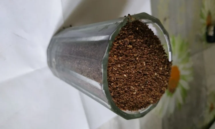 Семена махорки - фото № 2