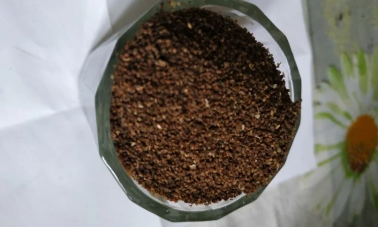 Семена махорки - фото № 3