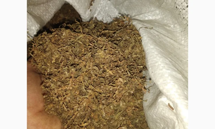 Настоящий табак фабричный - фото № 3