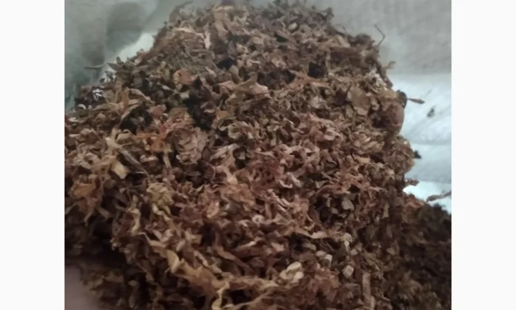 Настоящий табак фабричный - фото № 5