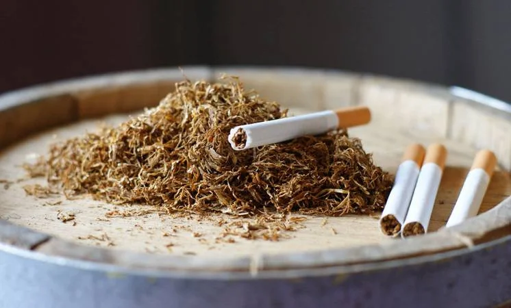 Топ-Продаж Virginia - фото № 1