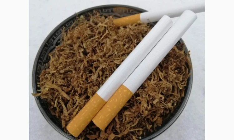 Топ-Продаж Virginia - фото № 3