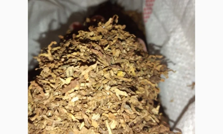 Вирджиния для сигарет 1 кг - основный сорт в составе сигарет - фото № 2