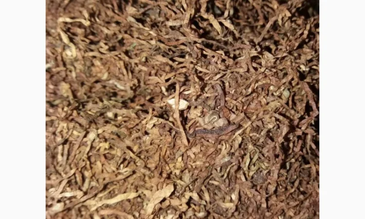 Вирджиния для сигарет 1 кг - основный сорт в составе сигарет - фото № 3