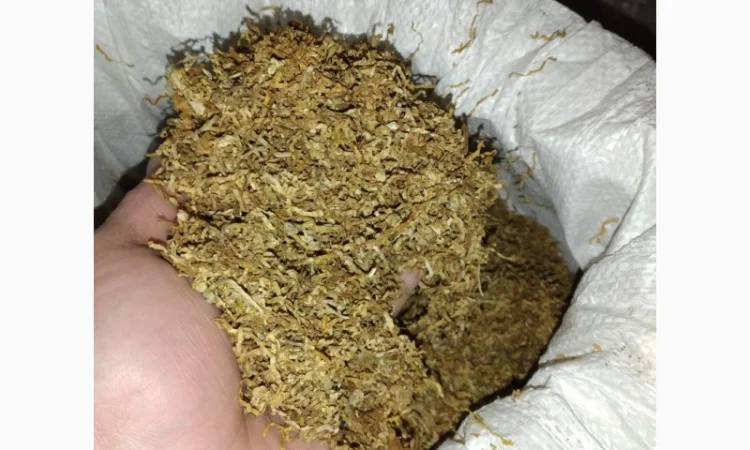 Тютюн найкращих сортів - фото № 3