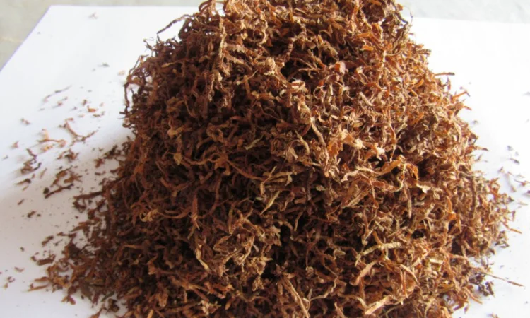 Большой выбор табака (фабричные - фото № 1