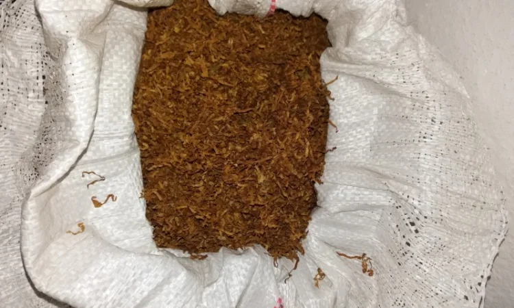 Большой выбор табака (фабричные - фото № 3