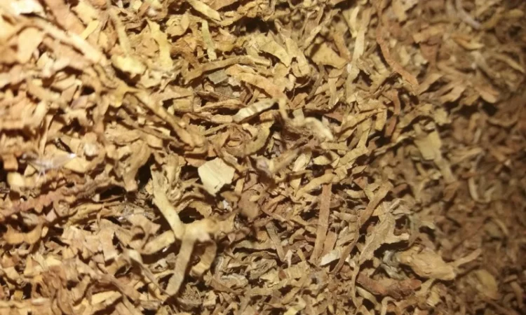 Большой выбор табака (фабричные - фото № 4