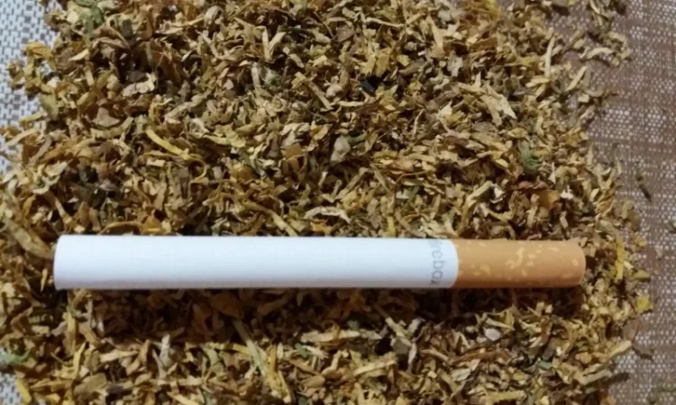 Большой выбор табака (фабричные - фото № 6