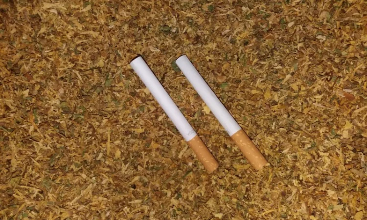 Большой выбор табака (фабричные, Вирджиния, Берли)  , для сигарет 1 кг .Доступная цена ! Отправка каждый день - фото № 6