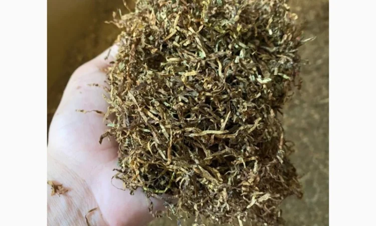 Імпортний табак. БЕРЛІ Вірджинія, Золоте руно, самосад - фото № 1