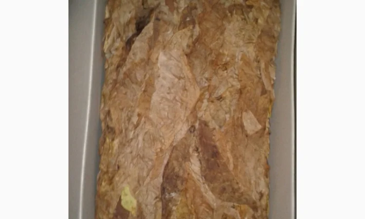 Семена табака Дукат Крымский. Насіння тютюну Дукат Кримський , для самокруток - фото № 2