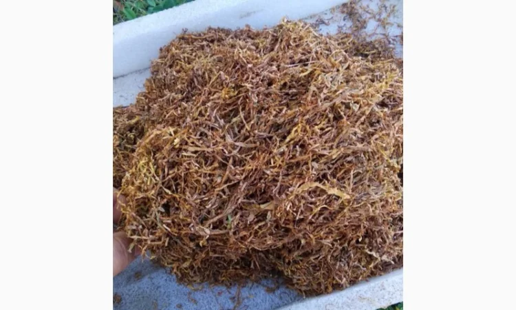 Импортные табаки! /Winston/ KapitanBlek/ Cemell/ Marlboro/ Bond / Вирджиния / Миллениум - фото № 6