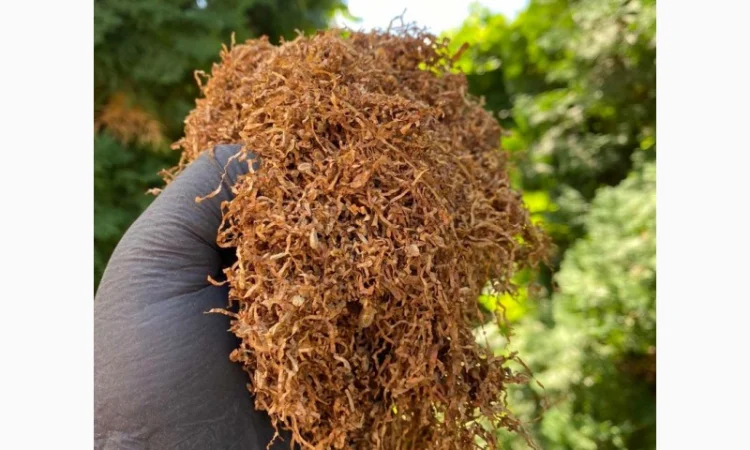 Импортный Табак для сигарет 1 кг! Вирджиния Голд/ Золотое руно/Winston / Kapitan Blek/ Oriental /Marlboro - фото № 9