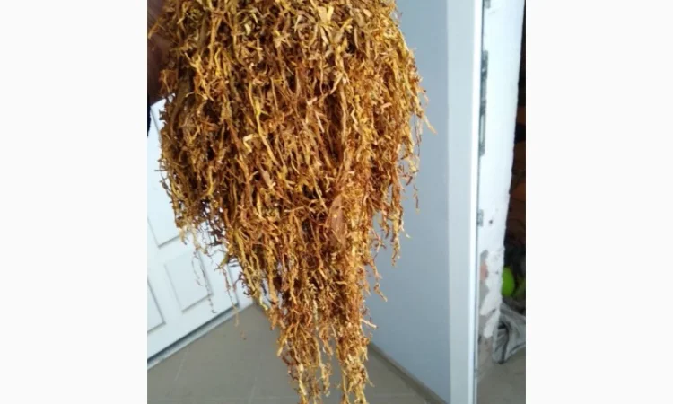 Тютюн  для самокруток ! Вірджинія Голд/ Золоте руно/Winston / Kapitan Blek/ Oriental /Marlboro - фото № 7