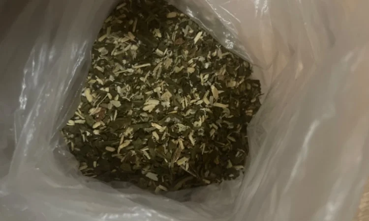 Продам махорку для сигарет 1 кг,  300 грн кг - фото № 1