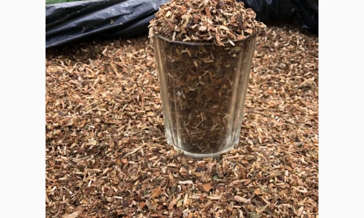 Продам самосад домашній  для самокруток - фото № 1