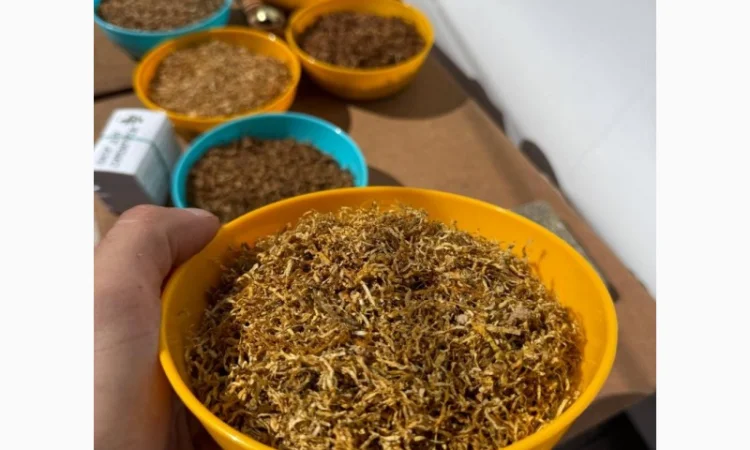 Руно / Голд / Болгарія / Парламент / КапБлек / Вірджинія / Берлі / Давідов тютюн  для самокруток - фото № 2