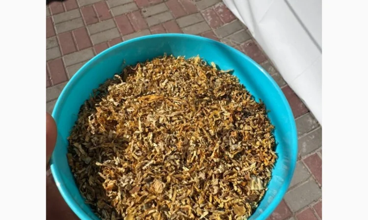 Руно / Голд / Болгарія / Парламент / КапБлек / Вірджинія / Берлі / Давідов тютюн  для самокруток - фото № 8