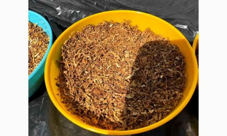 Вінстон / Давідоф / Кап Блек / Вірджинія / Берлі / Дюбек / Гавана / Голд / Руно, тютюн  для трубки - фото № 1