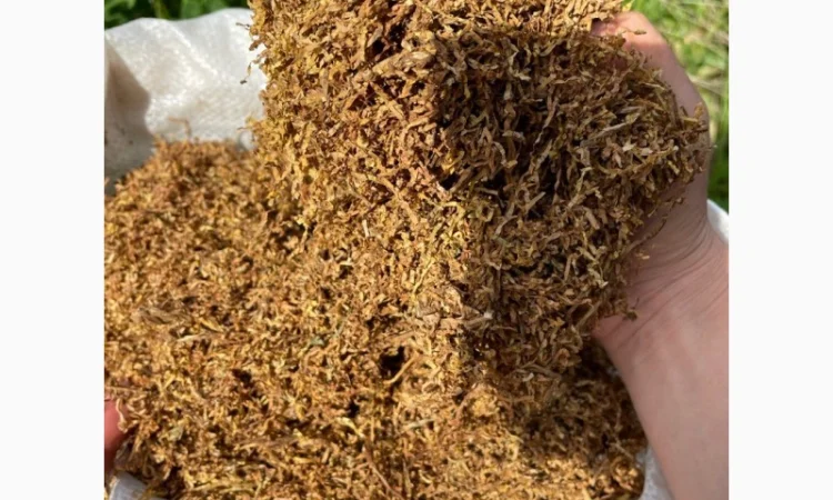 Висока якість тютюну  для трубки за Низькою ціну - фото № 7