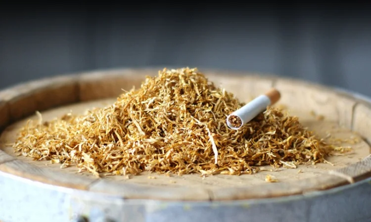 Продаж тютюнових виробів   для самокруток відомих виробників. Надійна якість та швидка доставка - фото № 2