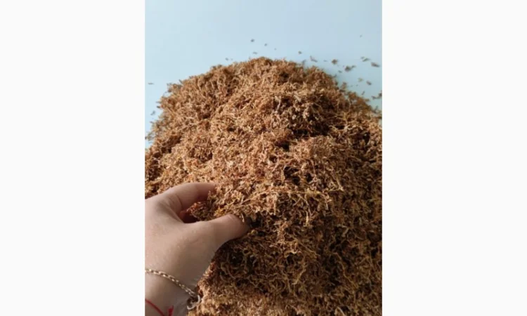 Пропоную відмінної якості тютюн, для поціновувачів справжнього смаку , для сигарет 1 кг - фото № 4