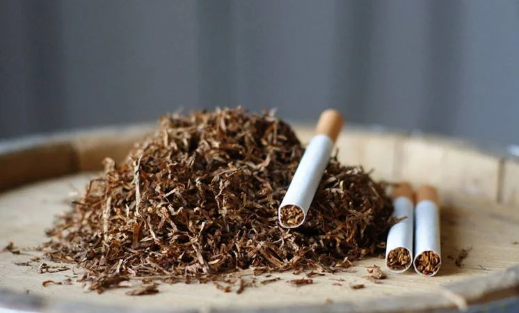 Большой ассортимент качественного табака для сигарет 1 кг - фото № 1