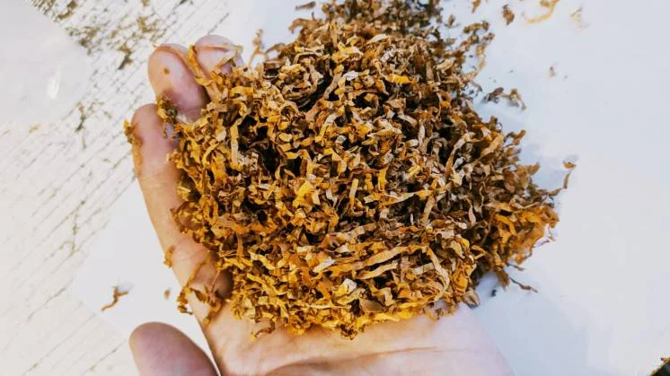 Якісний тютюн для сигарет 1 кг - фото № 1