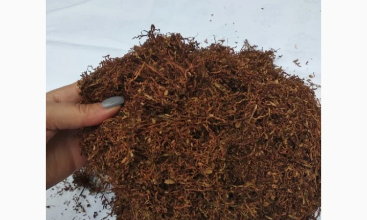 Продам Табак Сорта Берли, Супер Табак, Крепкий , для сигарет 1 килограмм - фото № 1