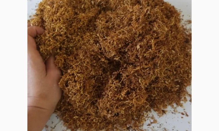 Продам Табак УРОЖАЙ 2022 , для сигарет 1 кг - фото № 2