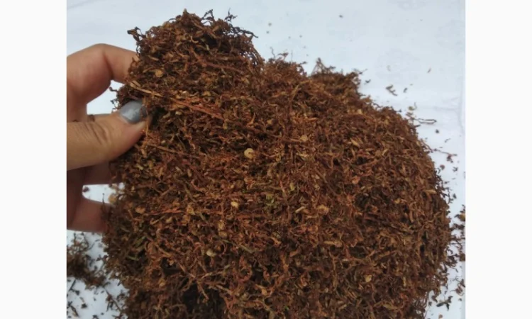 БЕРЛИ Для тех кто любит КРЕПКИЙ (ТУРЦИЯ) , для самокруток - фото № 1