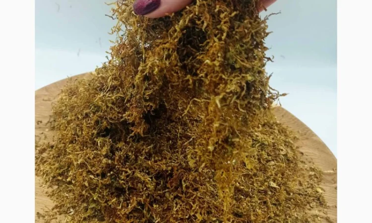 Лучшие сотра Табака только для ВАС! Бонусная программа для каждого клиента - фото № 1