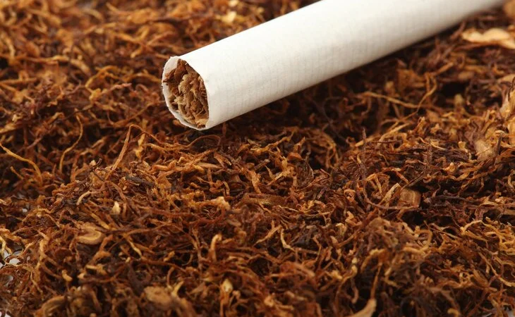 Лучшие сотра Табака только для ВАС! Бонусная программа для каждого клиента - фото № 4