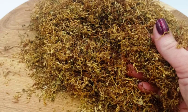 Лучшие сотра Табака только для ВАС! Бонусная программа для каждого клиента - фото № 14