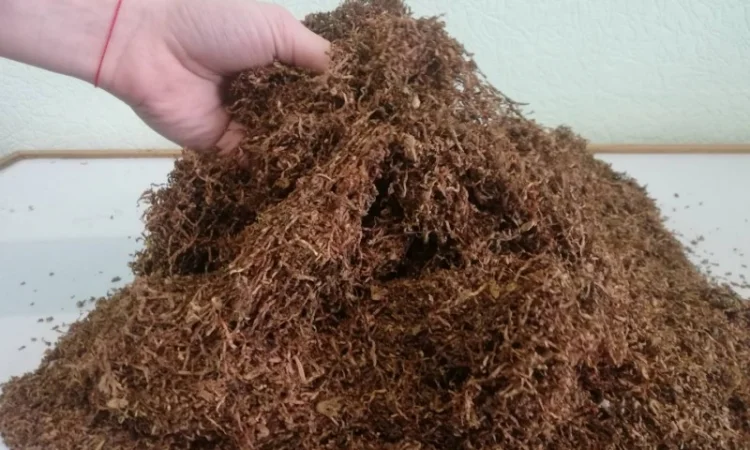 Продаж тютюну для сигарет - фото № 1